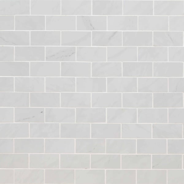 Msi Aria Ice 2 In. X 4 In. Polished Porcelain Mesh-Mounted Mosaic Tile, 8PK ZOR-PT-0374 - main